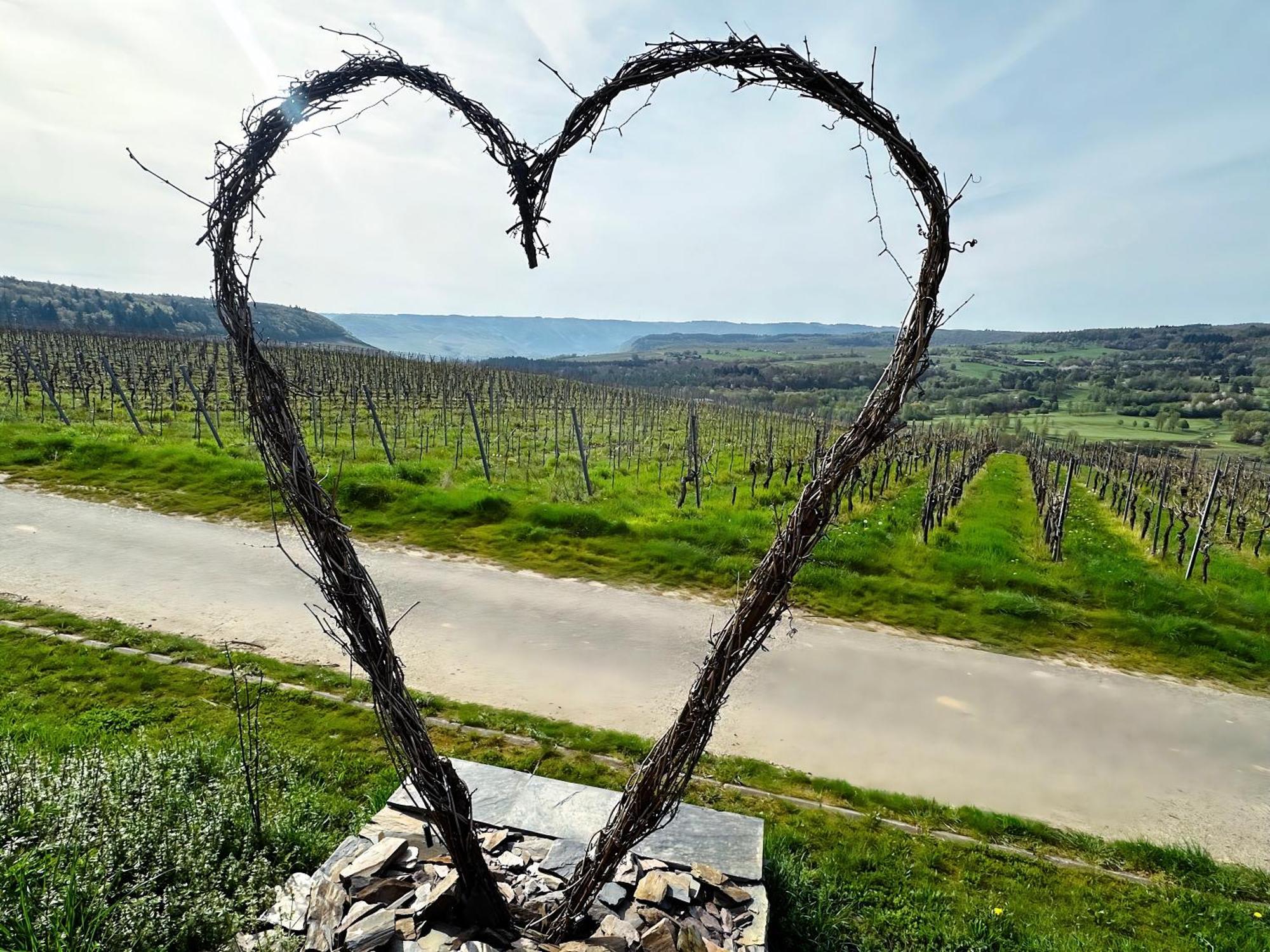Ferienwohnung Moselherz - Urlaub Im Wein- Und Ferienort Bekond Exterior foto